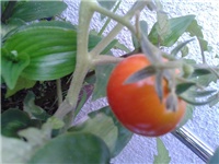 52f096ba-Fotografija0228 (2).jpg